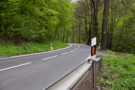 Leitpfosten Beiträge, Straße, Verkehr, Baum, Wald, Transport, im freien