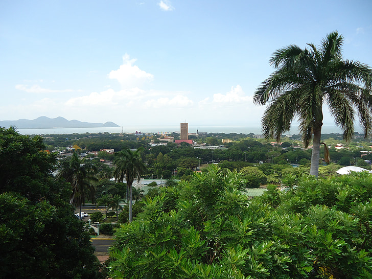 Managua, panoramski, jezero, mesto, obzorje, Nikaragva, zelena drevesa