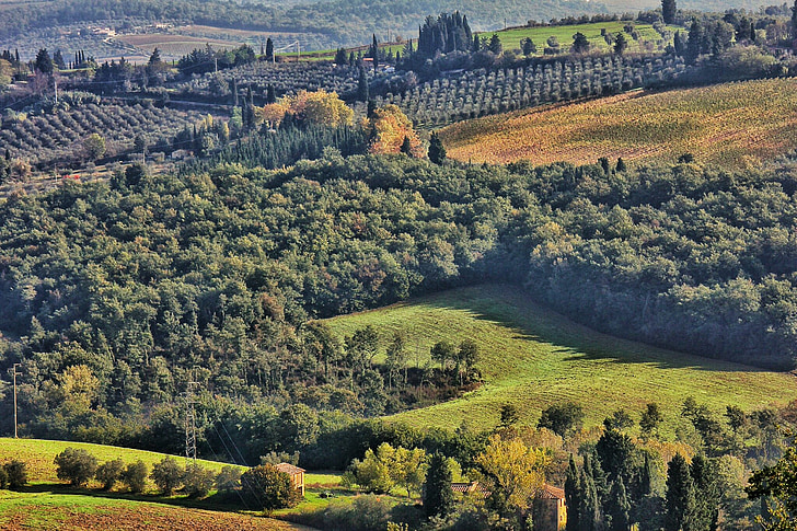 Olaszország, táj, Toszkána, természet, Hill, vidéki táj, fa