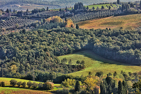 Włochy, krajobraz, Toskania, Natura, wzgórze, scena, drzewo