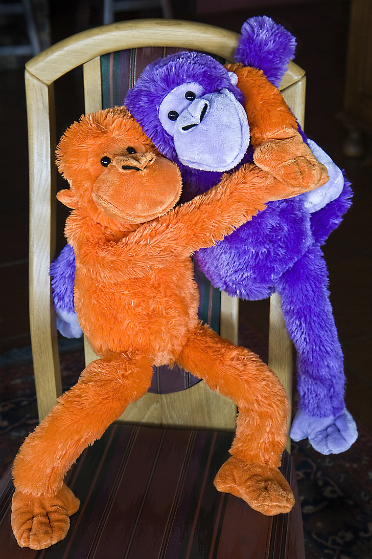 monkey, fluffy toy, ape, cuddly, soft, furry, stuffed