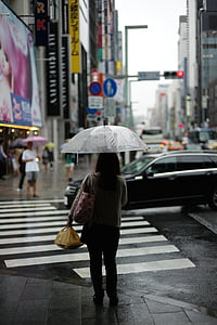 Miestas, gatvė, sankirtos, lietus, skėtis, nagrinėja, miesto