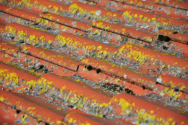 roof, tile, clay tiles, pantile, red, cross, flat