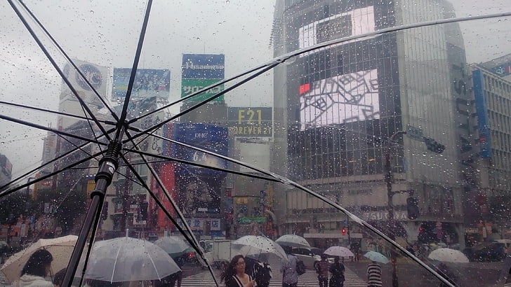 Japani, Tokyo, Shibuya, sadetta, sateenvarjo, läpinäkyvä