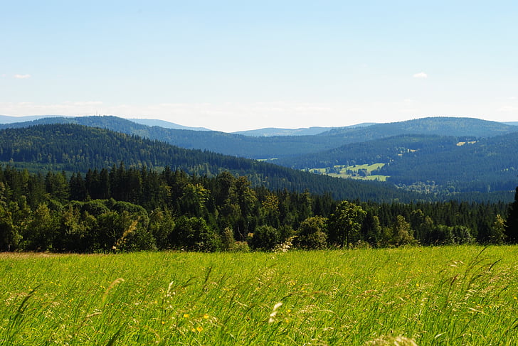 Panorama, vue, vert, Šumava, été, montagnes