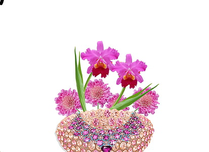 安排, 花香, orquideas, 粉色, 粘贴