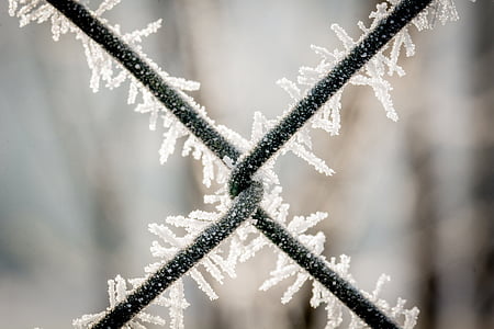 wire mesh fence, eiskristalle, frozen, winter, ice, cold, wire