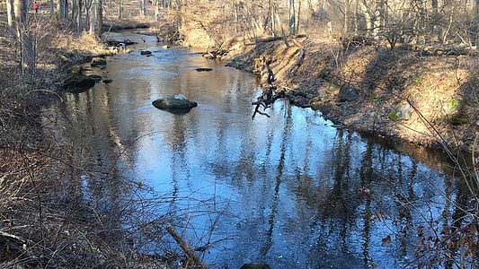 stream, rockefeller, spring, nature, reflection, tree, water
