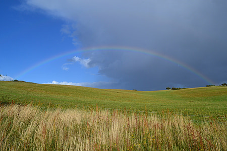 rainbow, landscape, meadow, nature, natural phenomenon, rain, sky