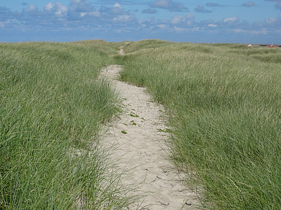 dunes, caminada de Dune, platja, Mar, l'estiu