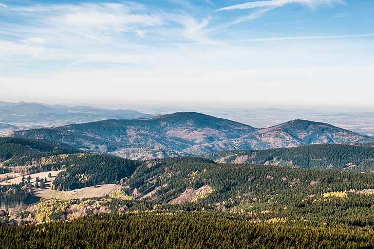 aerial, view, hill, filled, trees, cloud, tree