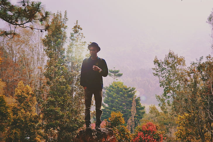 man, forest, person, male, outdoors, autumn, fall