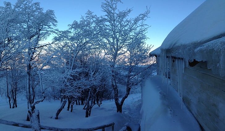 lumi, talvel, külmutatud, puud, maja, taevas, tara