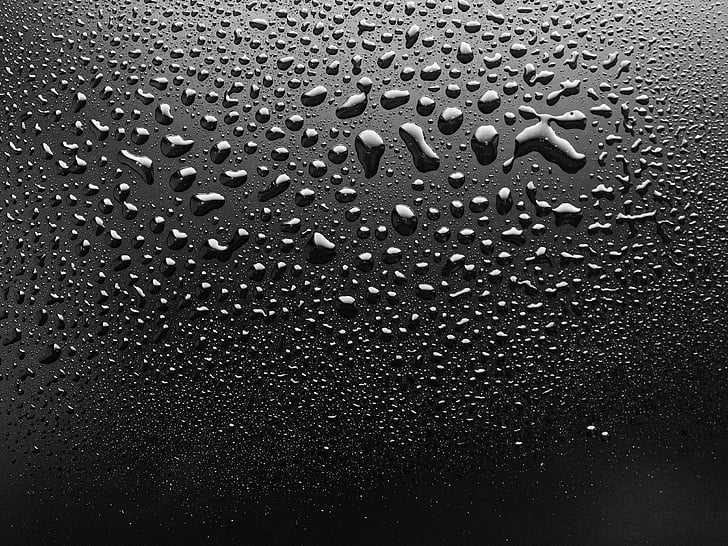 water droplets, dew, wet, drop, macro, liquid, clean