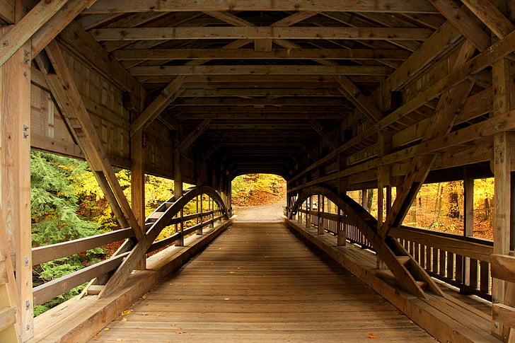 Most, kryty most, lasu, widokiem na Las, jesień, upadek, żółty