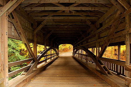 Bridge, täckta bron, skogen, skogsutsikt, hösten, faller, gul