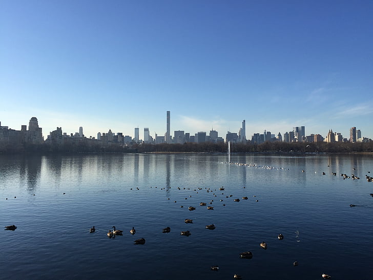 new york, panorama, city, lake