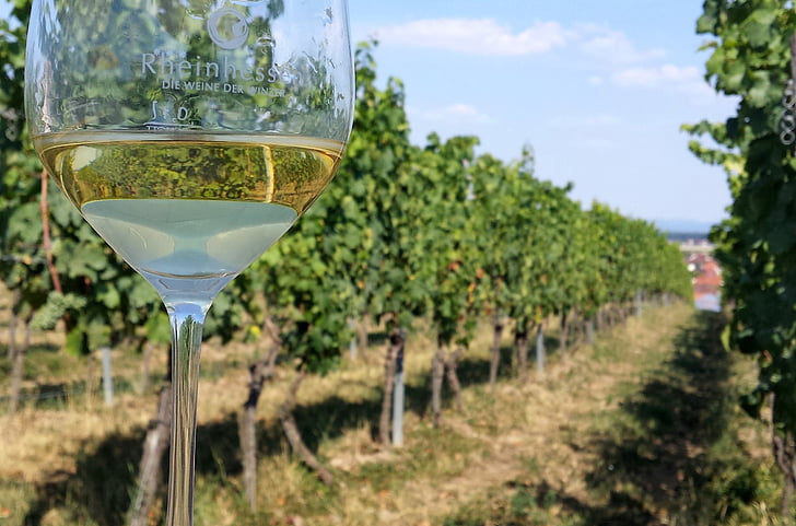 víno, sklo, sklenice na víno, prospěch z, alkohol, Rheinhessen, vinice