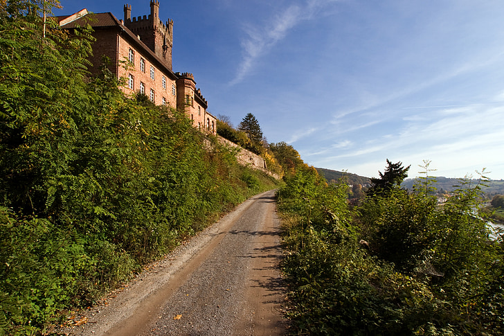 neckarsteinach, Castle, Lane, Odenwald