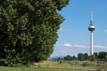 mannheim, tv tower, meadow