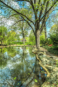 tree, park, pond, reflection, nature, landscape, sunlight