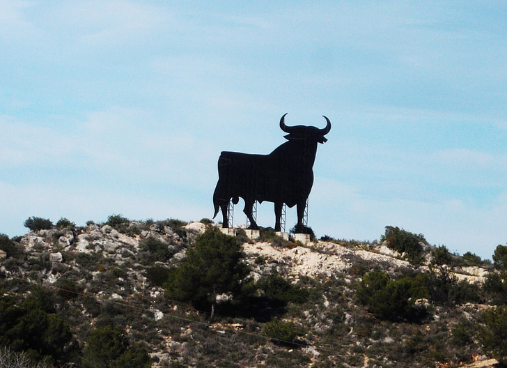 biki, Španija, Fiesta brava, bikoborbo, torero, prstan, označite Španija