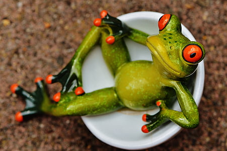 frog, funny, cute, figure, cozy, sit, fun