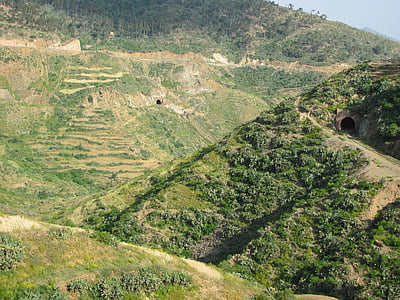 Eritrea, táj, völgy, erdő, erdőben, fák, hegyek