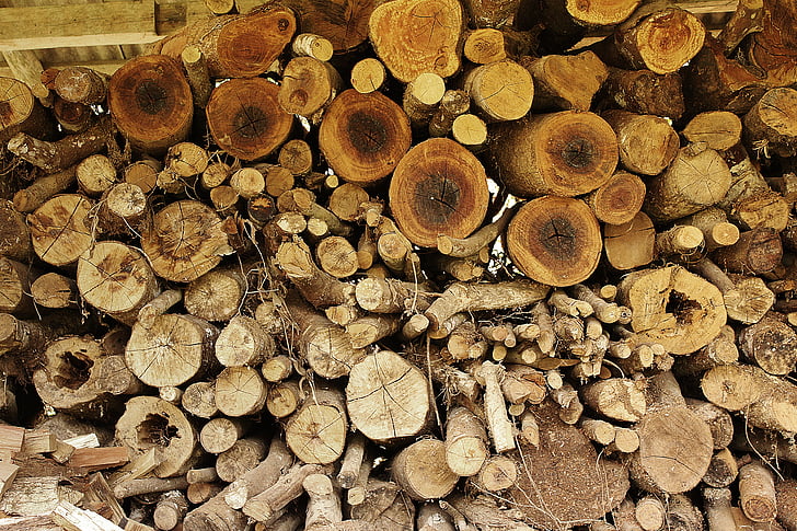 fusta, arbre, bosc, indústria, natura, pila, textura