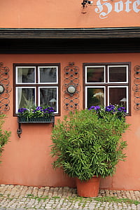 budynek, Strona główna, sielanka, roślina, okno, kwiaty