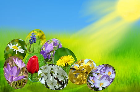 Pasen, eieren, lente, zon, gras, groen, hemel