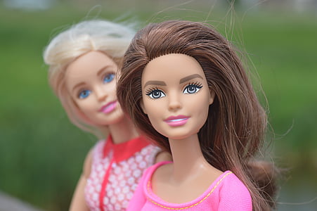 búp bê, barbie, brunette, cô gái tóc vàng, Nhìn, Tìm kiếm, chân dung