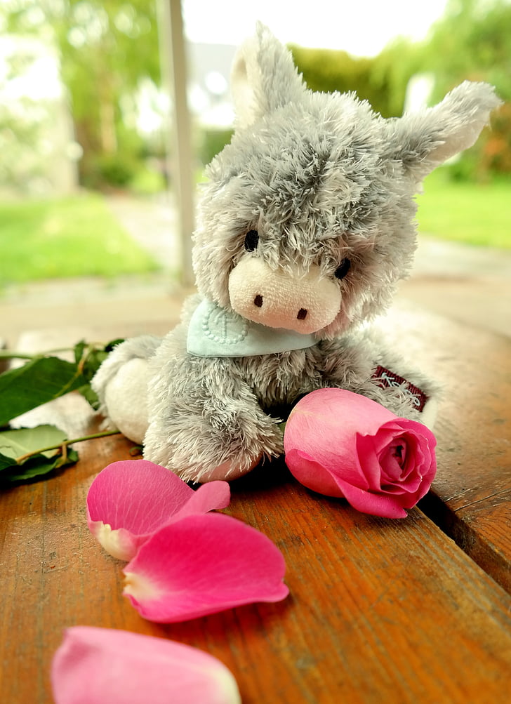 donkey, teddy bear, soft toy, stuffed animal, rose, flowers, cute