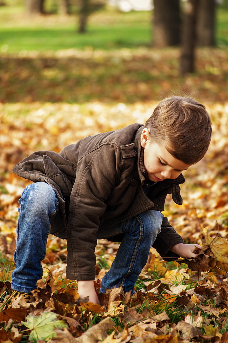 buksetrold i parken, barn picking up blade, efterår, udendørs, barn spille, spil, brune blade