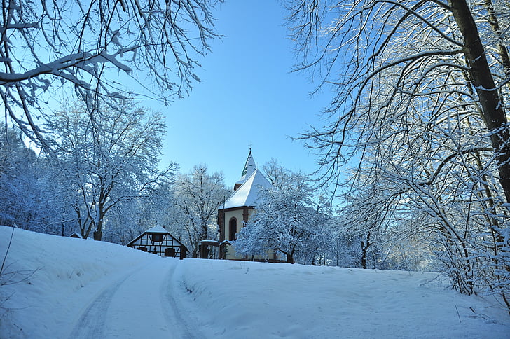 Église, Forest, hiver, klüschen hagis, Eichsfeld, neige