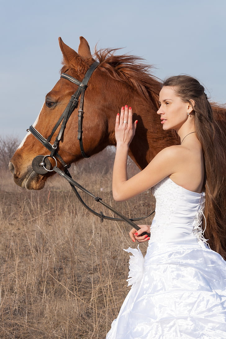 horse, wedding dress, field, wedding, girl, bridesmaid dress, white dress