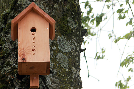 aviary, bird feeder, nesting box, nesting help, nesting place, animal welfare, einflugloch