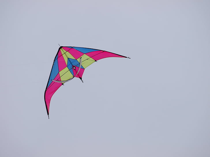 Dragón volante, Dragon rising, volar, viento, rosa, otoño