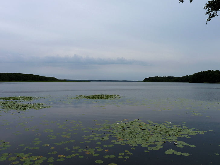 Мекленбург, mecklenburgische seenplatte, природата, езеро, настроение, Джаспър национален парк