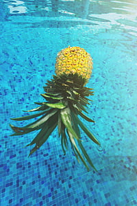 plavák, plávajúce, ovocie, Mexiko, ananás, bazén, Resort