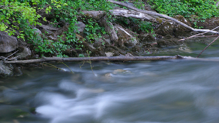 stream, white water, nature