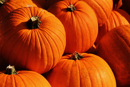 zucche, autunno, decorazione di autunno, vendemmia, zucche decorative, decorazione, arancio