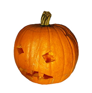 pumpkin, gourd, harvest, thanksgiving, orange, autumn, decoration