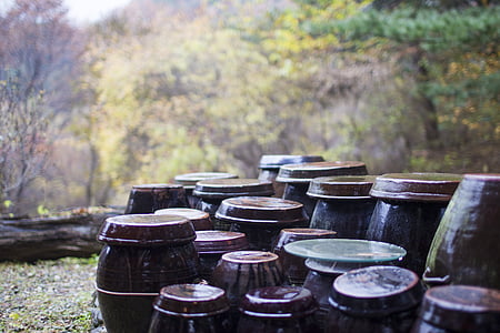 jar, autumn, storage, autumn leaves, rural landscape, chapter reading, chapter dogdae