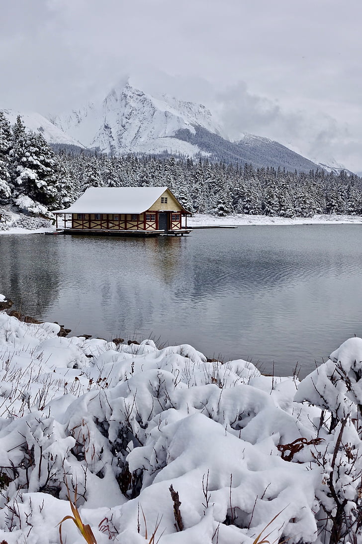 Cottage, hiver, neige, Lac, en bois, distant, nature sauvage