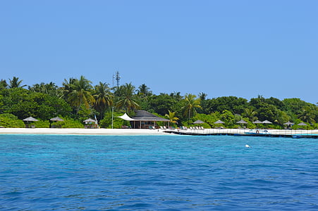 tenger, Maldív-szigetek, sziget, Beach, nap, víz