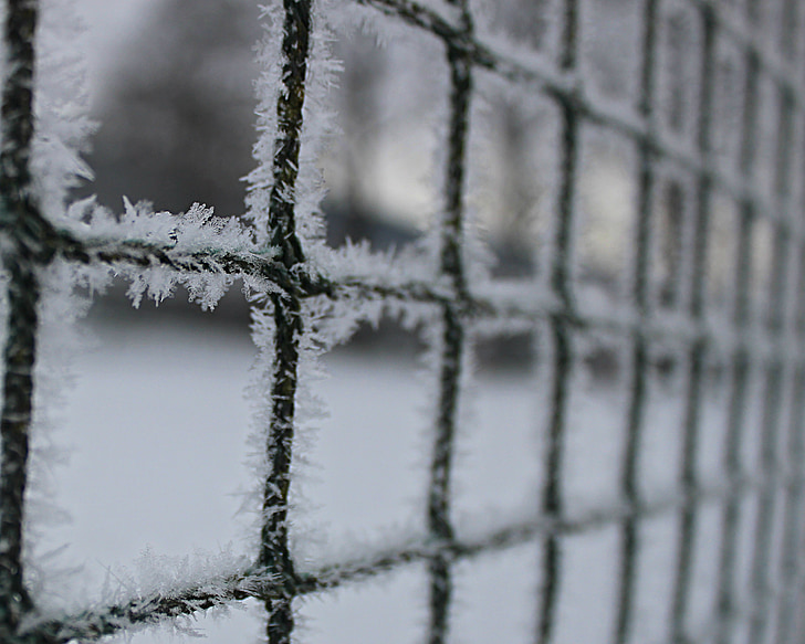 snih, pozimi, bela, Frost, ograje, sneg, hladno - Temperature