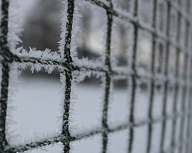 snih, téli, fehér, fagy, kerítés, hó, hideg - hőmérséklet