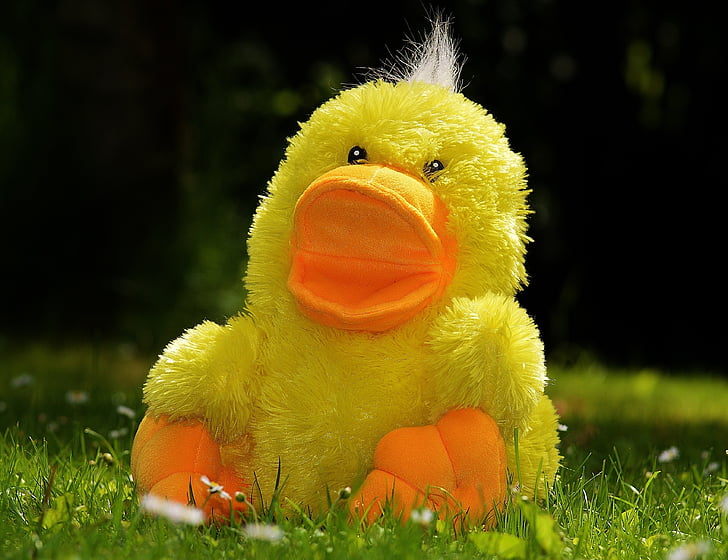 yellow, duckling, plush, toy, grass, field, daytime