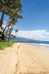 Plaża, palmy, Hawaje, Maui, krajobraz, piasek, morze